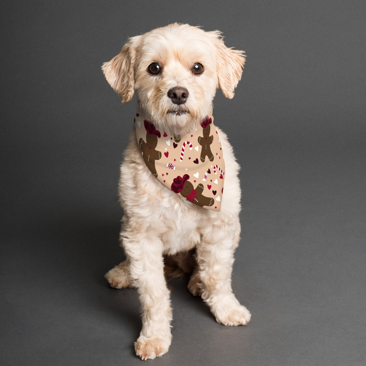 Cowboy Gingerbread  Pet's Scarf